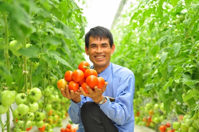 90% giống rau, hoa của Lâm Đồng được nhập khẩu từ 19 nước